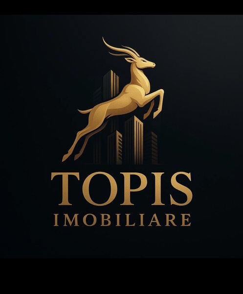 Dristor - Kaufland Dristor, Prima inchiriere, Centrala proprie Vaillant